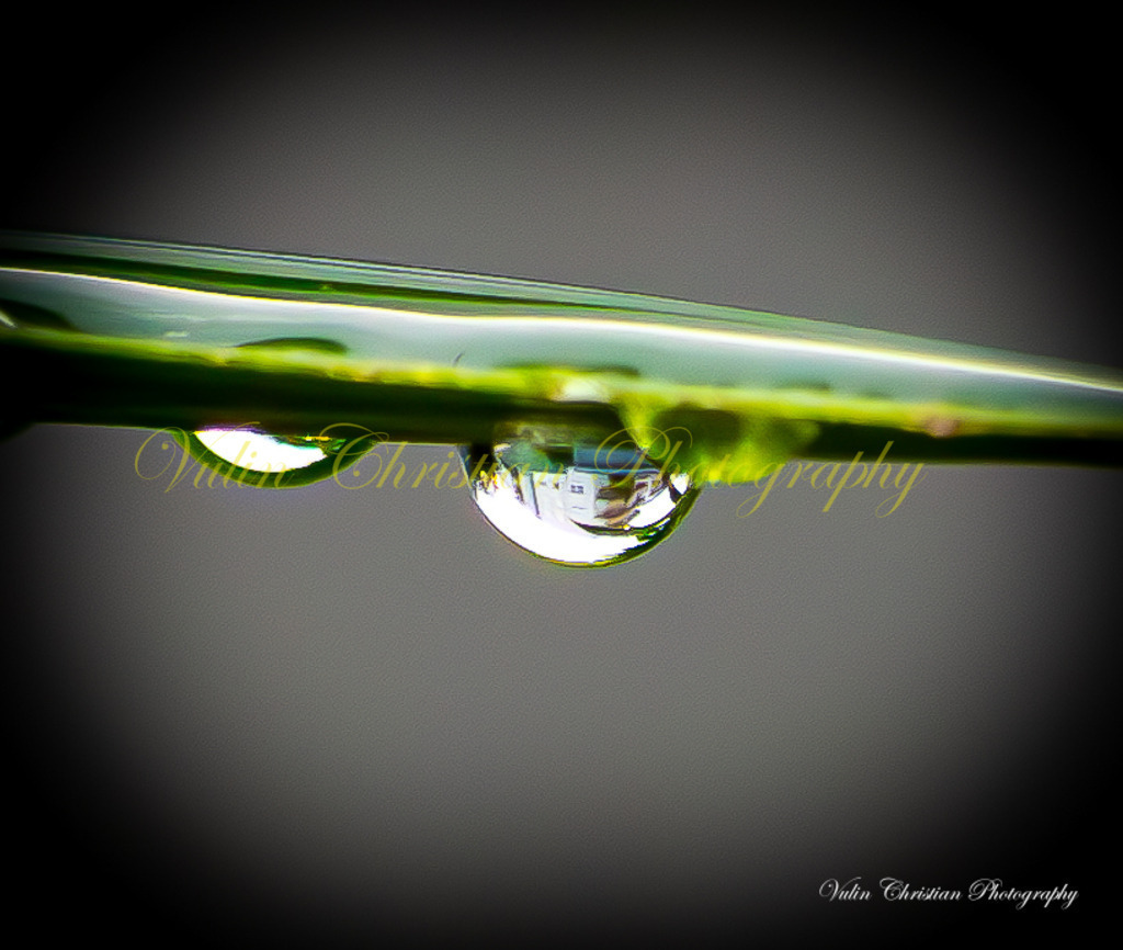 Macro 26 | Christian Vulin  - Realisiert mit Pictrs.com