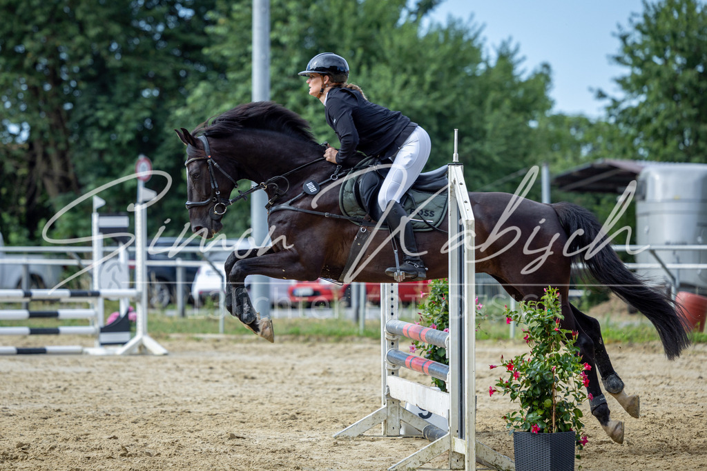 20260704-_3LI6887 | Tierfotografie Pferde, Hunde, Katzen, Haustiere.
Turnierfotografie Reitturniere, Reiten, Springreiten, Dressur in Hanau, dem Main-Kinzig-Kreis und dem Rhein-Main- Gebiet um Frankfurt