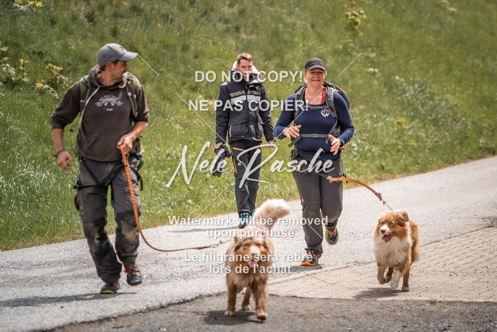 nelerasche_SoZieleinlauf_519 | nelerasche