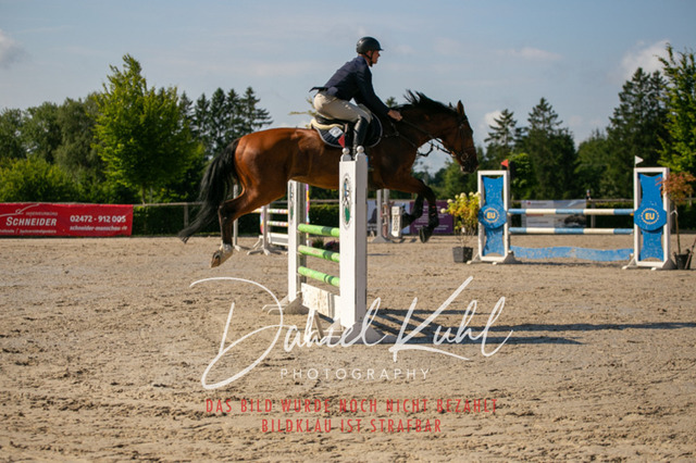 IMG_5333 | Turniersportfotografie; Pferdefotografie; Dressurfotografie