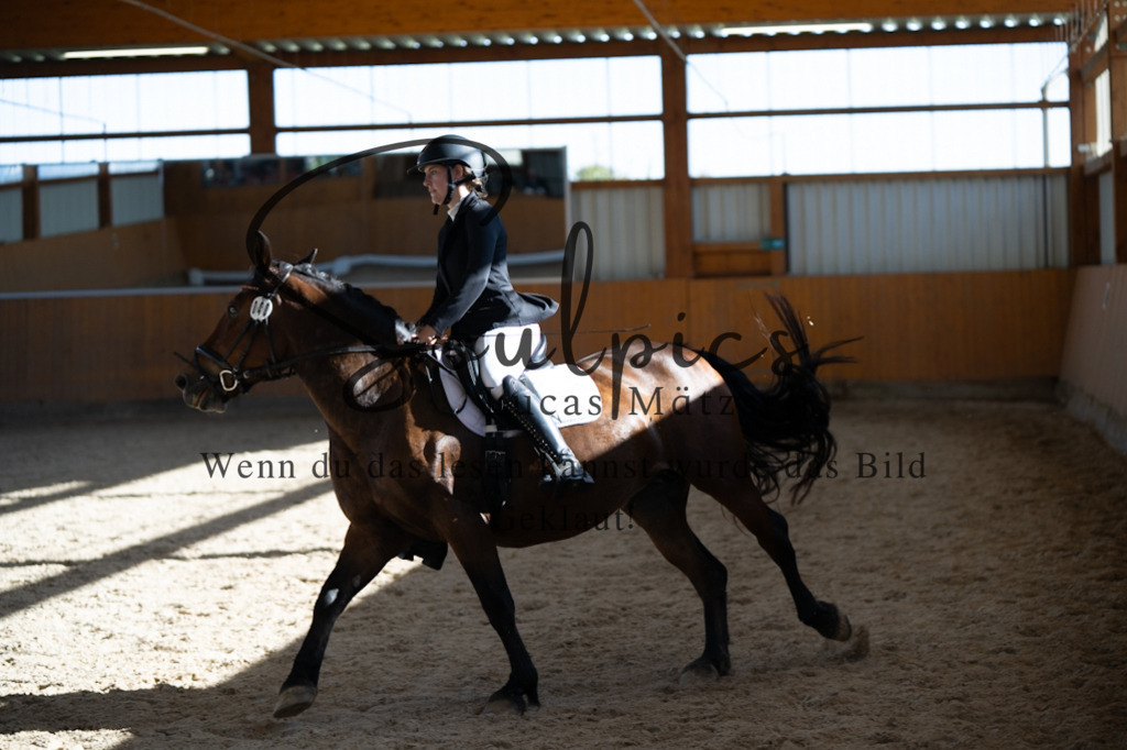 A7V01987 | Pferdefotograf