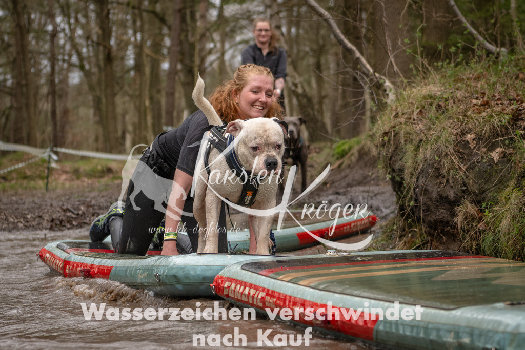 1137_ZZ93807 | kk-dogfotos