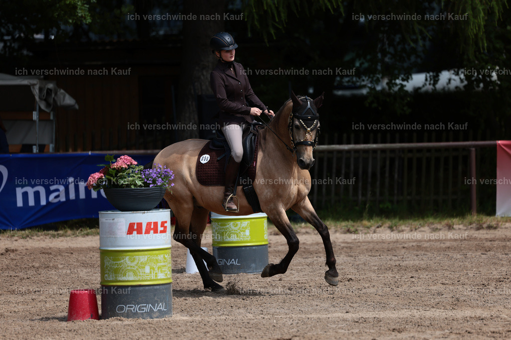 KlasseA_Stoibphotography_C2_L5476.JPG | working equitationturnier fotograf videograf stoibphotography marixx film working equitation deutschland reitsport turnierfotografie eventfotografie equestrian events