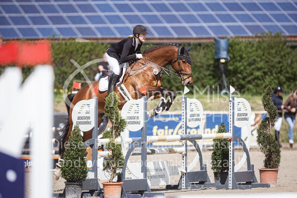 250419_Frühlingsfest_Stil-A2-2-614 | Deine schönsten Turniermomente als professionelle Fotos! Entdecke hochwertige Pferdesport-Fotografie im Online-Shop. Jetzt Fotos finden & bestellen!
