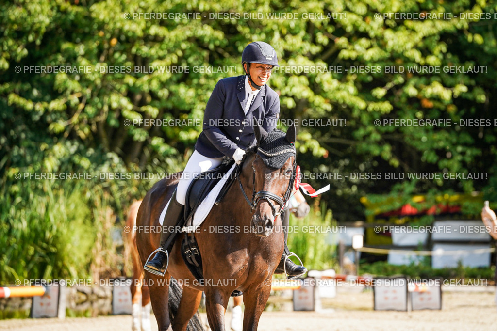 DSC00291 | Pferdegrafie