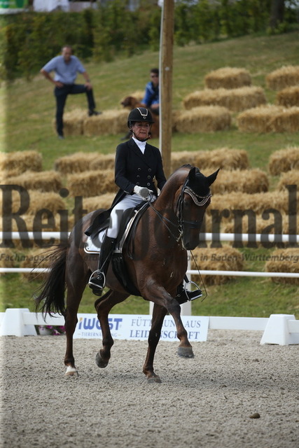 Birkhof_2022_GrandPrixSpecial_Martina Steisslinger_Favory A.S (1) | Alle Fotos der Reiterjournal Fotografin Doris Matthaes im Reiterjournal Online-Fotoshop. - Realisiert mit Pictrs.com