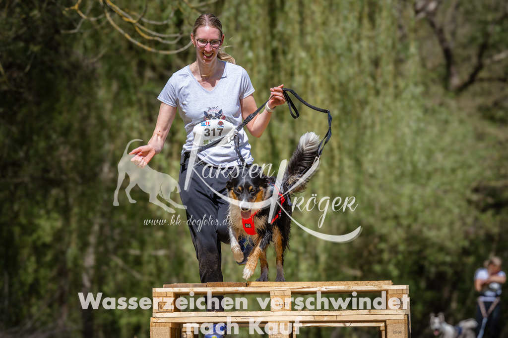 1242_ZZ93679 | kk-dogfotos