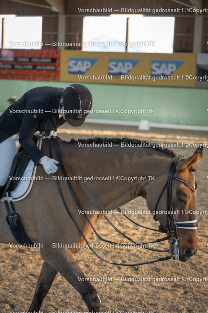 _D5A0927 | Emotionale Pferde- & People-Fotografie rund um Heidelberg, Leimen & Umgebung. Natürliche Fotos von Pferd, Mensch & Familie. Jetzt Termin sichern!