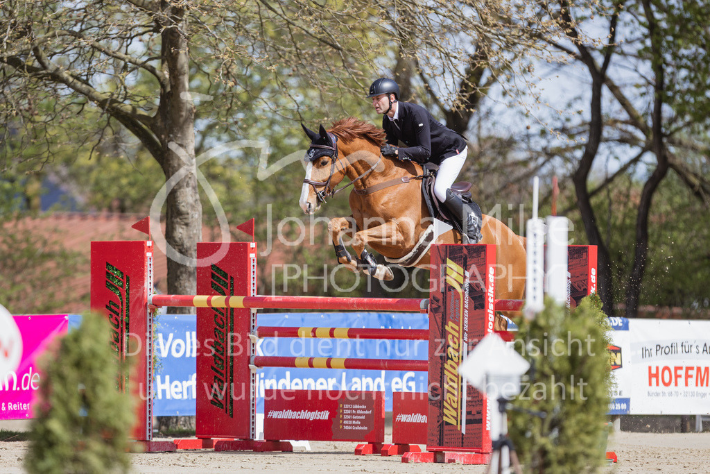 230501_SpengeW_M2St-145 | Deine schönsten Turniermomente als professionelle Fotos! Entdecke hochwertige Pferdesport-Fotografie im Online-Shop. Jetzt Fotos finden & bestellen!