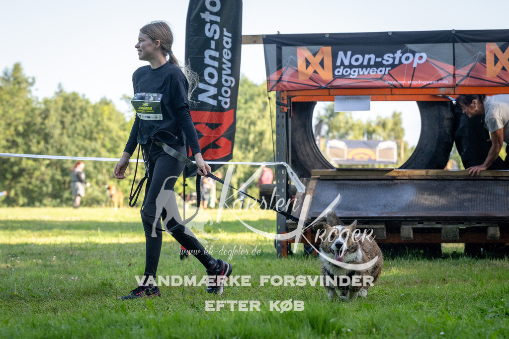 0906_ZZ90476 | kk-dogfotos