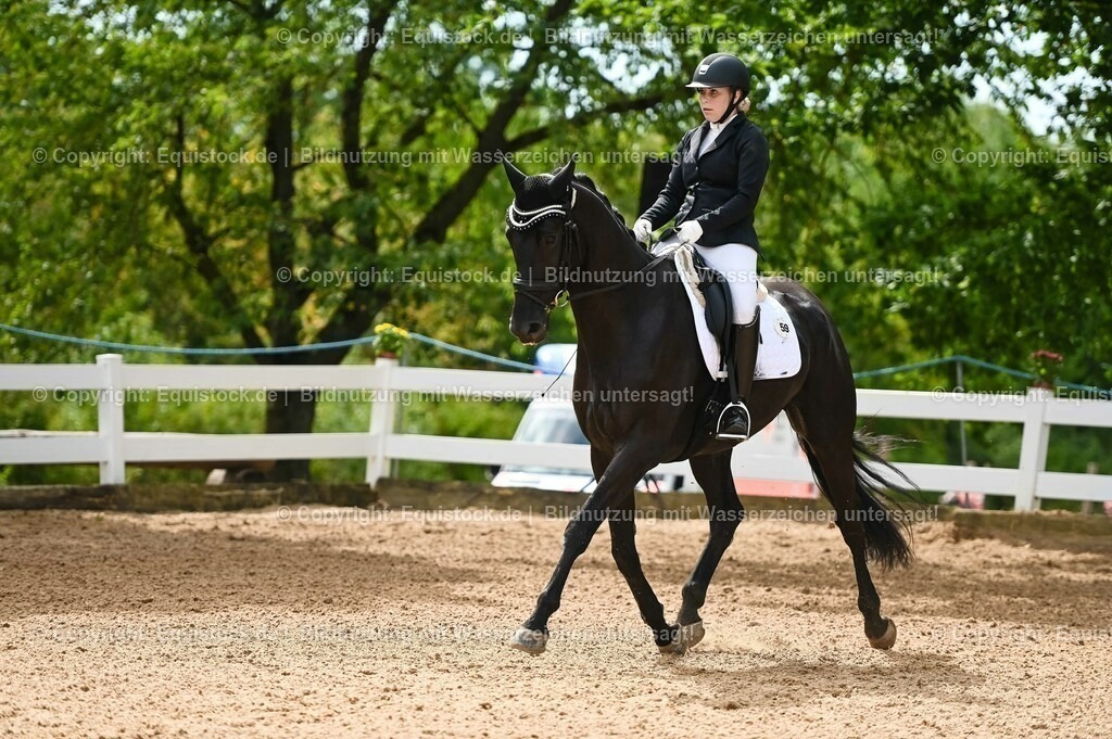 20230715_07_Dressurpferdeprfg. Kl.L_0133 | equistock