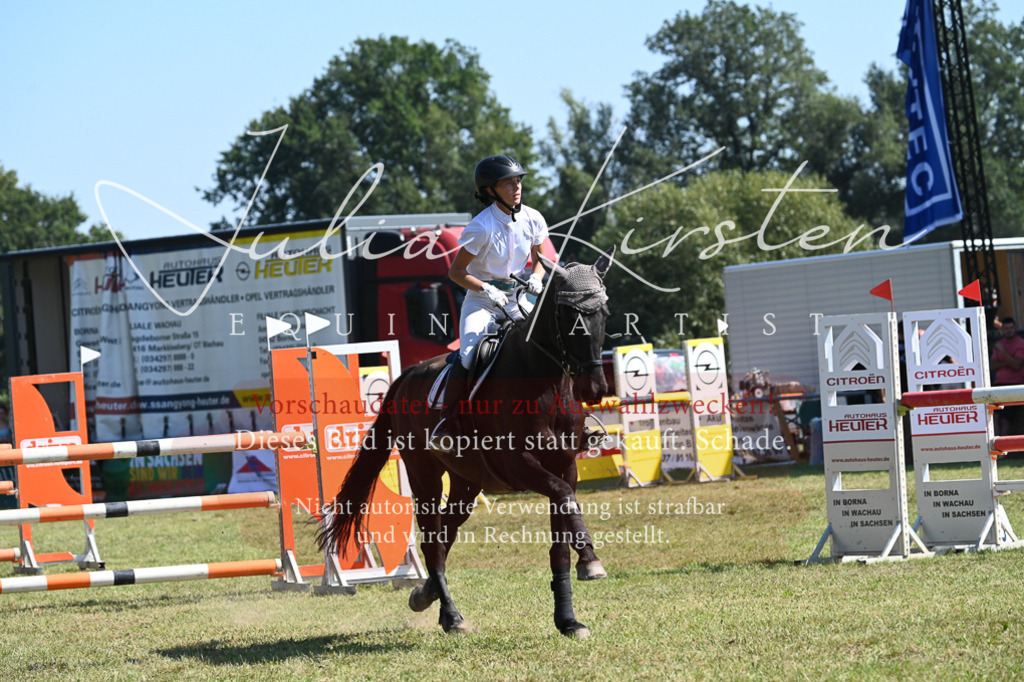 DSC_6381 | Pferde- und Turnierfotografie in Westsachsen. Pferdeportraits, Auftragszeichnungen und intuitive Kunst.