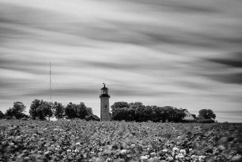 2025_07_09_FEHMARN-LEUCHTTURM+SCHMETTERLINGE_MCP8845 sw | Hochwertig gedruckte Fotografien für die Wand, als Kalender und zum Verschenken. Hamburg & Norddeutschland und überall wo ich mit der Kamera unterwegs war.