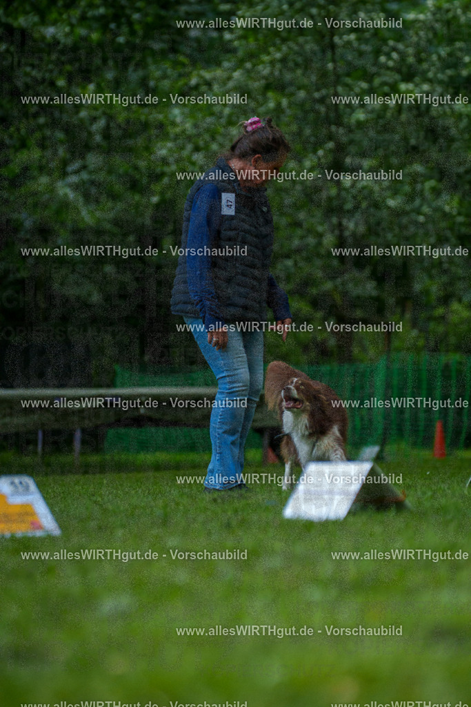 @allesWIRTHgut_Tierfotografie - www.allesWIRTHgut.de - 7R505459 | Professionelle Tierfotografie in Mönchengladbach von Daniel Wirth (allesWIRTHgut). Liebevolle & natürliche Bilder von Hunden & Katzen für unvergessliche Erinnerungen.