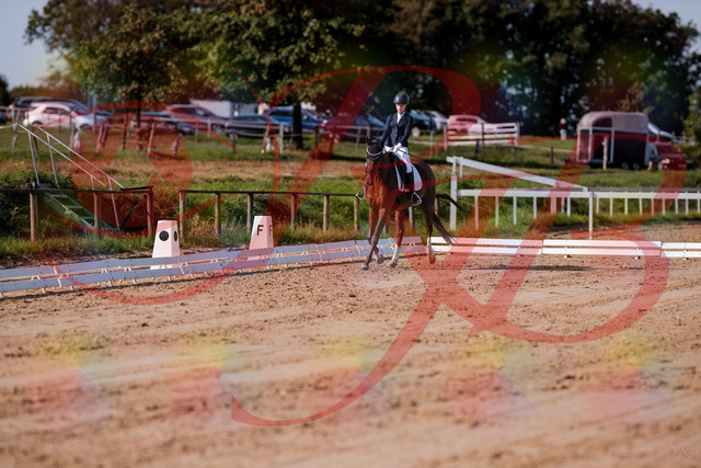 2026_10_03_Siefer-Hof_114854_Z81_87970939 | Professionelle Reitsport-, Turnier- und Eventfotografie von Robert Broda. Galerien mit ausgewählten und bearbeiteten Bildern direkt online ansehen und bestellen.