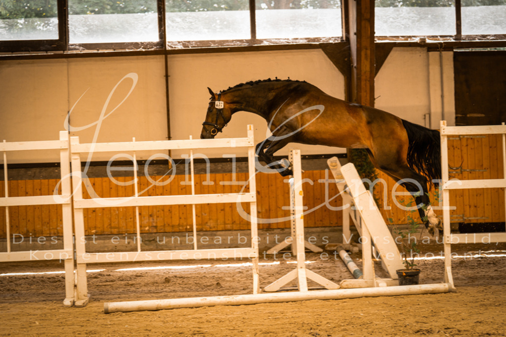 FrFS00028 | Leoni Ertmer Photography - Realisiert mit Pictrs.com