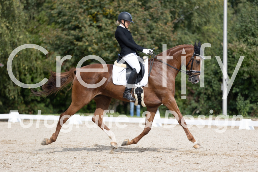 IMG_4195 | Creatify Fotografie