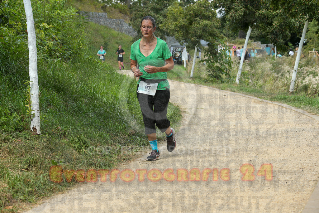 250824_1253_EX1_0840 | Sportfotografie im Rhein-Sieg Kreis, Köln, Bonn, NRW, Rheinland Pfalz, Hessen, etc. Unser Tätigkeitsfeld umfasst den Laufsport vom Volkslauf über den Marathon, Duathlon, Triathon bis zum Ultralauf wie Kölnpfad Ultra oder Schindertrail.
