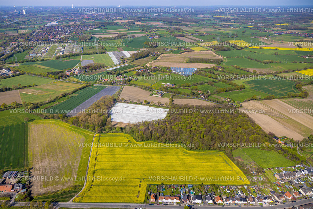 Hamm230400559 | Luftbild, Wiesen und Felder, Bockum-Hövel, Hamm, Ruhrgebiet, Nordrhein-Westfalen, Deutschland
