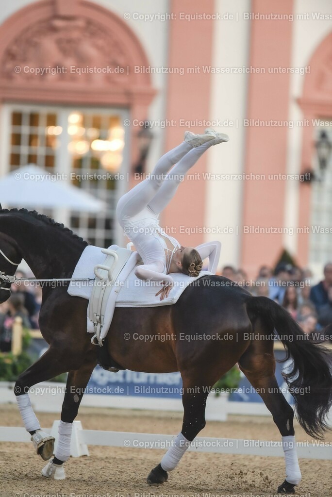 20230527_Voltigieren_NASPA_Flutlicht_0155 | equistock