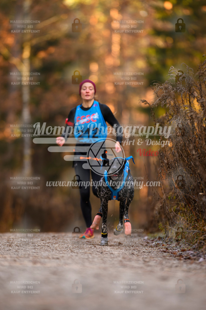 MompixPhotography_DM_AKDM_SO_2025_-8 | PayLife