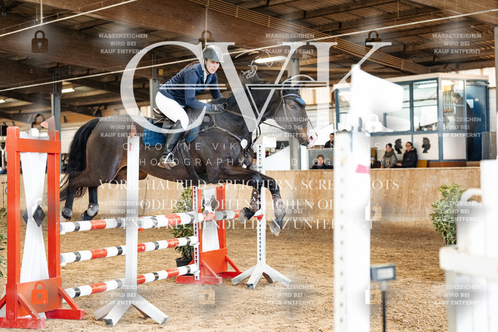 CK905109 | Turnierfotografie Pferdefotografie Trier Rheinland-Pfalz Pferdesport Reitsport Tierfotografie Sportfotografie Pferdevideo Pferdevideografie Equestrianvideography equestrianphotography  - Realized with Pictrs.com