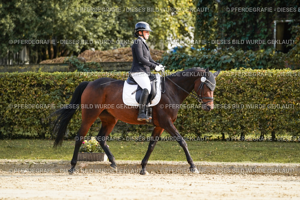 DSC05636 | Pferdegrafie