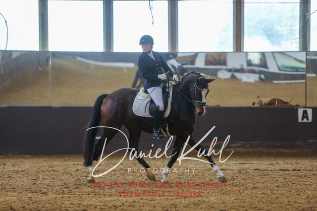 IMG_7363 | Turniersportfotografie; Pferdefotografie; Dressurfotografie