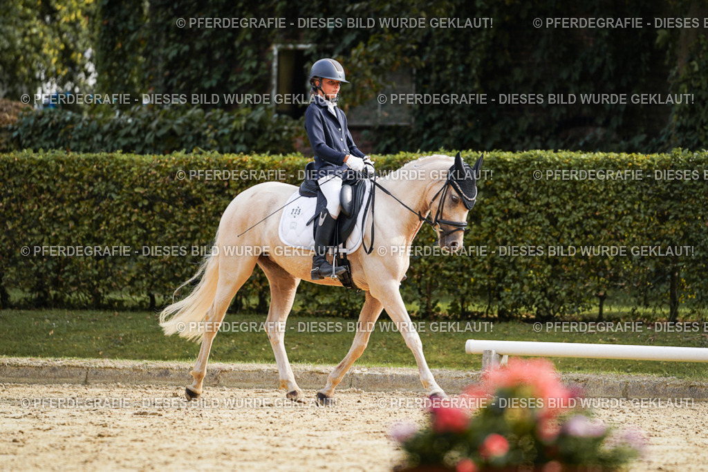 DSC04776 | Pferdegrafie