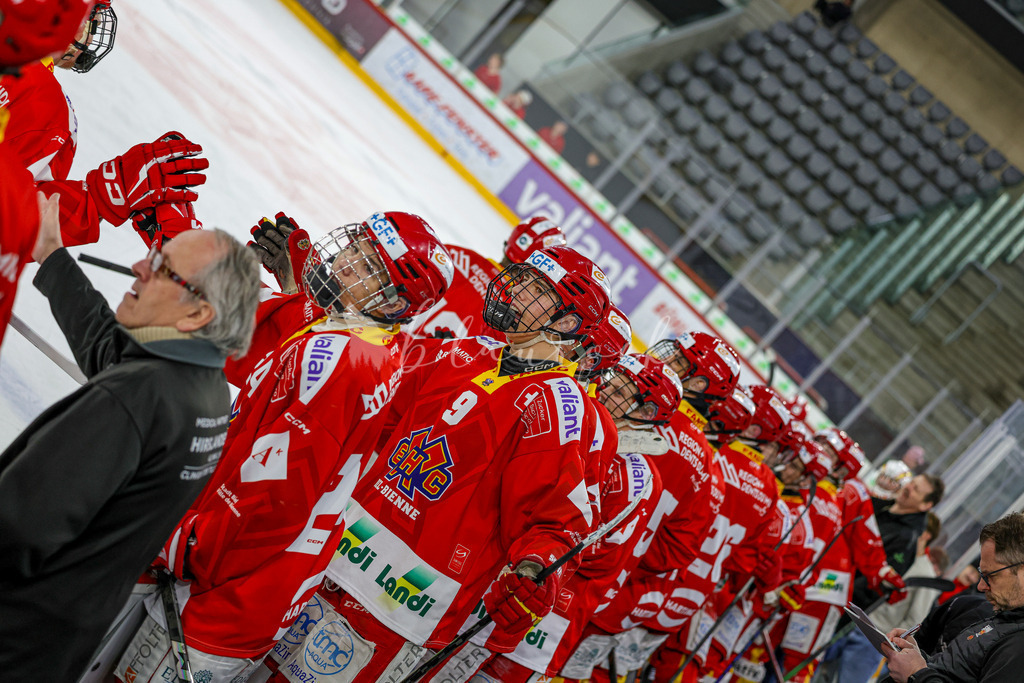 EHCB vs HCD-0389 | Sportbilder, Sportfotograf, Hochzeits- und Eventfotografin, Flugshows, Portraits und Tiershooting, Aviation, Downhill, Nationalleague, Swissleague, International