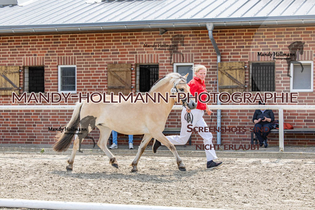 _MG_2639 | mandyhollmannphotographie