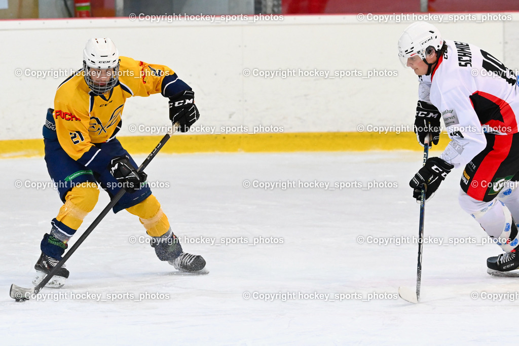 EC Feld am See vs. ELV Zauchen 15.1.2023 | #19 Schmied Niklas