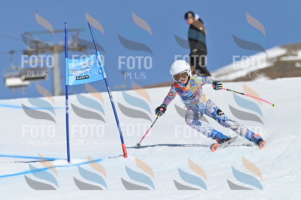 BGV_8372 | holidayphoto