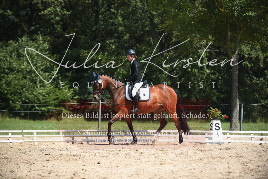 DSC_2239 | Pferde- und Turnierfotografie in Westsachsen. Pferdeportraits, Auftragszeichnungen und intuitive Kunst.
