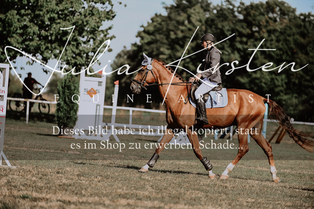 DSC_9271 | Pferde- und Turnierfotografie in Westsachsen. Pferdeportraits, Auftragszeichnungen und intuitive Kunst.
