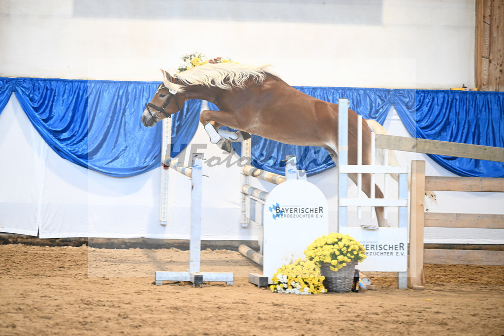 Kat-Nr. 31 Weinbrand v. Weingold S_Brugger_48250701 | hf-fotografie - Realisiert mit Pictrs.com