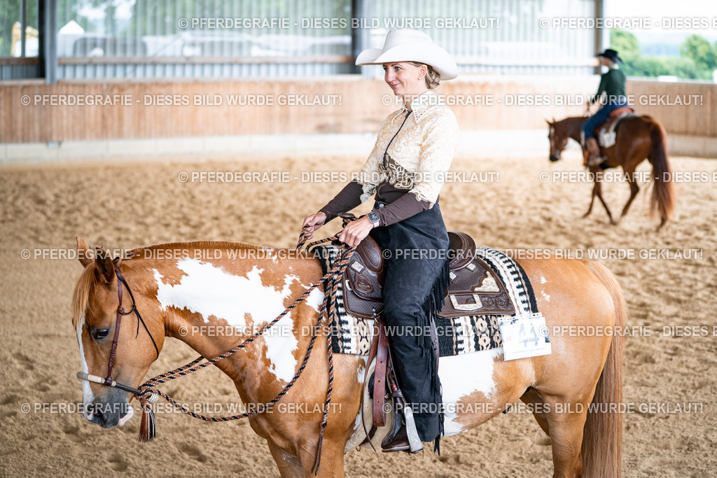 DSC02232 | Pferdegrafie