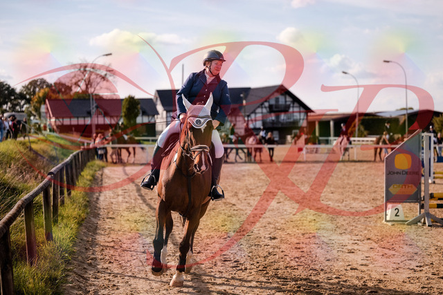 2026_10_03_Siefer-Hof_160605_Z81_87372803 | Professionelle Reitsport-, Turnier- und Eventfotografie von Robert Broda. Galerien mit ausgewählten und bearbeiteten Bildern direkt online ansehen und bestellen.
