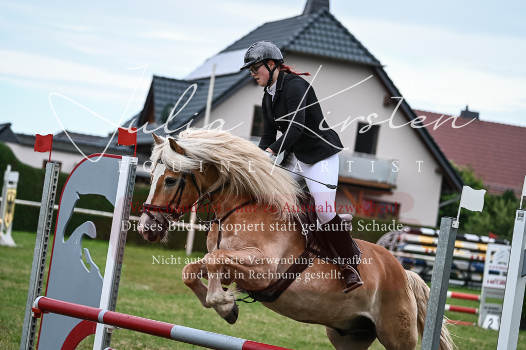 DSC_8416 | Pferde- und Turnierfotografie in Westsachsen. Pferdeportraits, Auftragszeichnungen und intuitive Kunst.