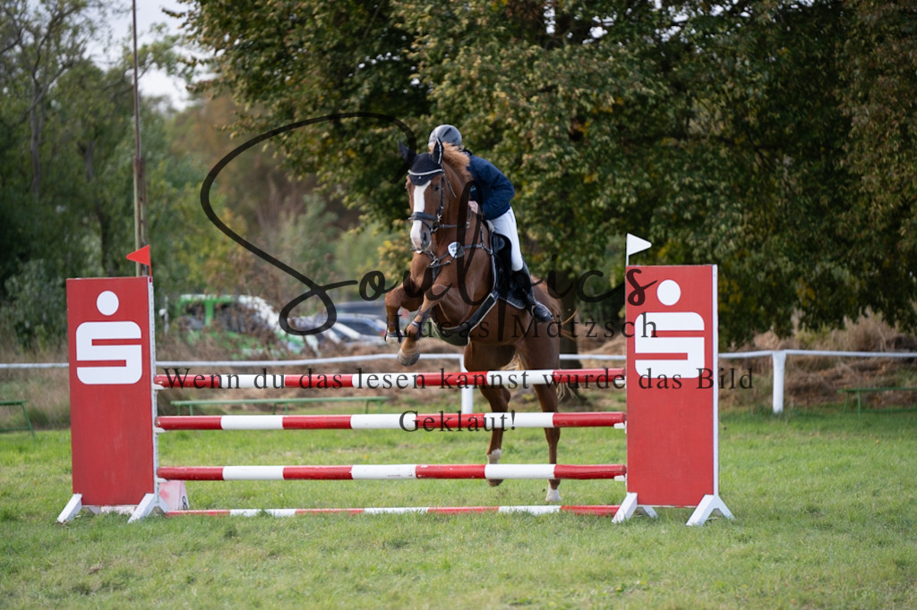 A7V07052 | Pferdefotograf