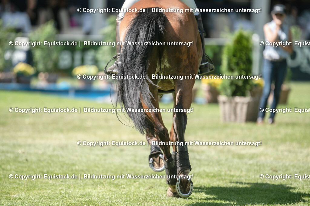 20230527_27_CCI4_Gelände_0158 | equistock