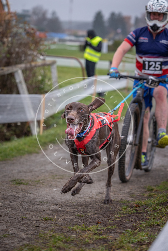 CaniXpix_0L8A0918 | Hundefotografie, Tierfotograf, Pfotenfotografie, Fotoshooting Hund, Hunde Portrait, Hundesport, Hundeportraits, Heideshooting, Hunde, Sportfotograf, Hundefotograf, Turnierhundsport, THS,  - Realisiert mit Pictrs.com