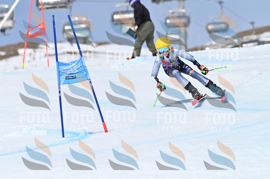 BGV_3937 | holidayphoto