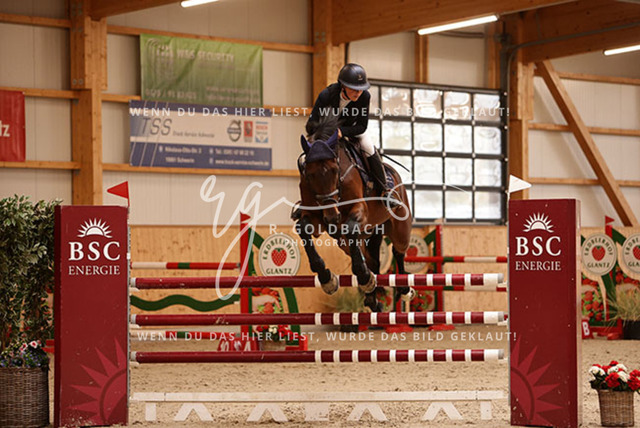 1J2A6231Celina Makowei_ AFP Come McFly_ Kn006_ Glantz_ Hohen Wieschendorf | Foto- und Videografie für alles rund ums Pferd. Hochwertige Bilder und Videos vom Spring- und Dressurreiten, Voltigieren & mehr. Jetzt aktuelle Veranstaltungen und Preise im Shop ansehen. - Realisiert mit Pictrs.com