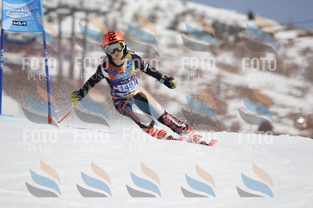 _U3G1177 | holidayphoto