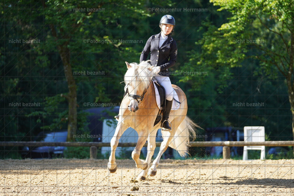20240706-FAH04468 | Grafing Turnierfotos, Reitverein Ebersberg, Turnierfotografen Bayern, reitsportbilder, Pferdefotograf, reitsportfotograf, Sportbilder, Reitsportfotografie, Fotoagentur Herrmann, Turnierfotograf