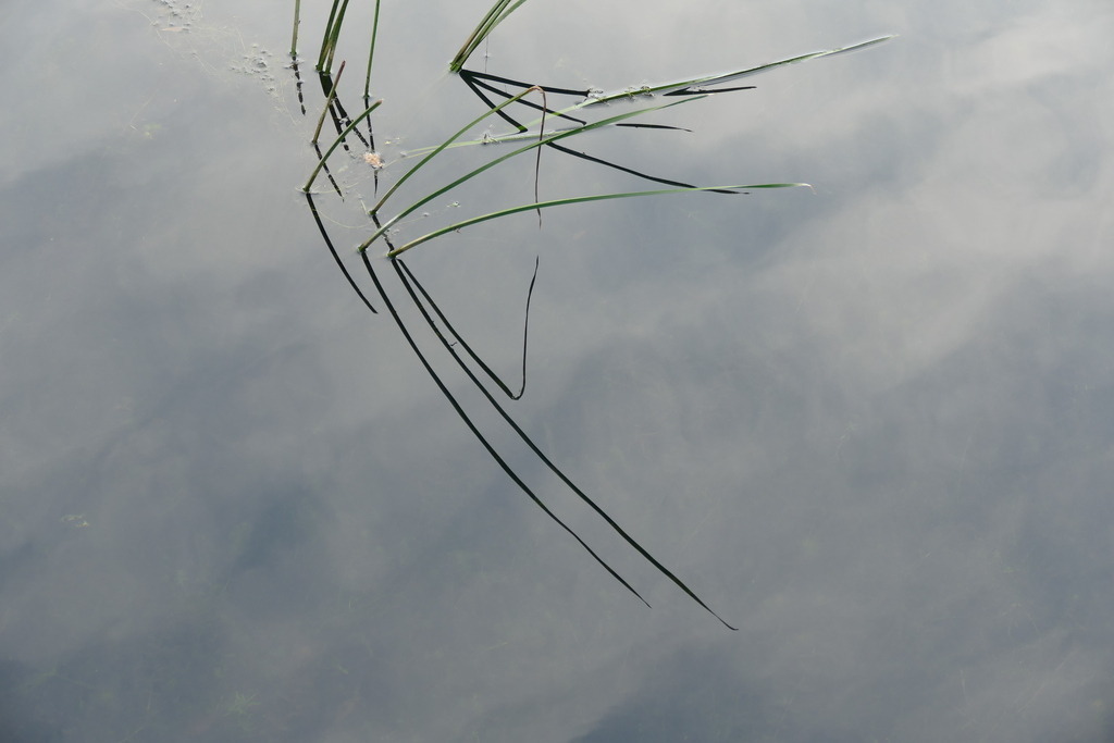 P2580299 | Annaeherungen - Realisiert mit Pictrs.com