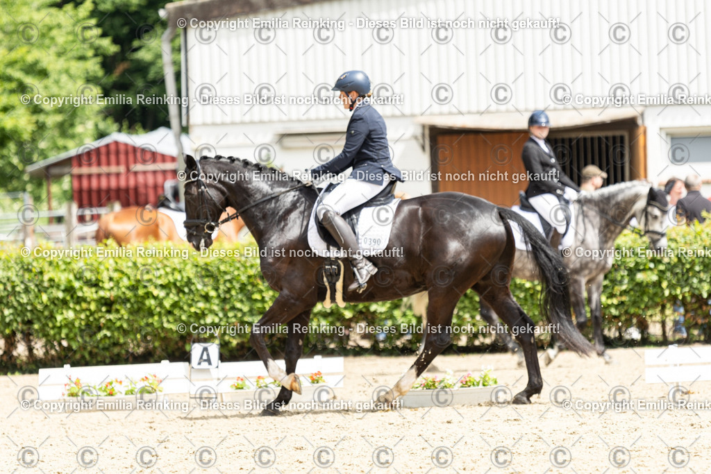 CL5A2164 | Emilia Reinking Fotografie - Realisiert mit Pictrs.com