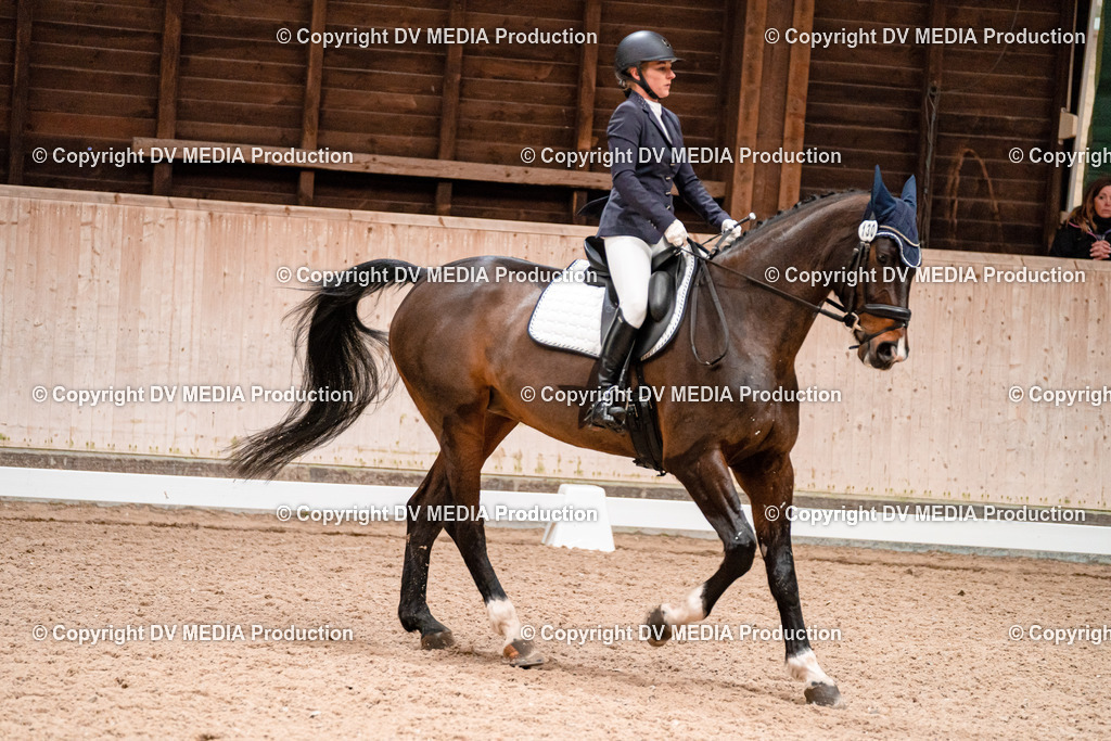 Dressur Tag 3-030 | dv-media-shop - Realisiert mit Pictrs.com