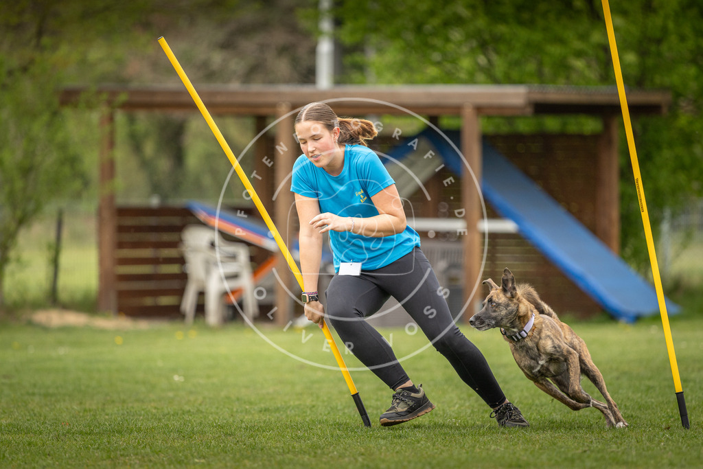 Pfotenfotografie_DV3A1817 | Hundefotografie, Tierfotograf, Pfotenfotografie, Fotoshooting Hund, Hunde Portrait, Hundesport, Hundeportraits, Heideshooting, Hunde, Sportfotograf, Hundefotograf, Turnierhundsport, THS,  - Realisiert mit Pictrs.com